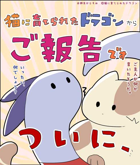 猫に育てられたドラゴン 漫画 イラスト 書籍化 単行本 神虫からすみ