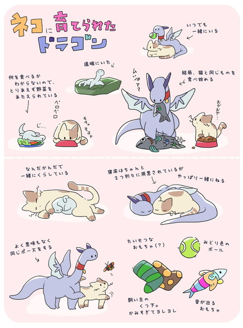 猫に育てられたドラゴン 漫画 イラスト 書籍化 単行本 神虫からすみ