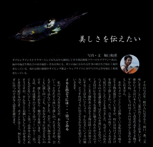 同人誌 図書館 司書