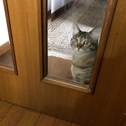 甘木サカヱさん