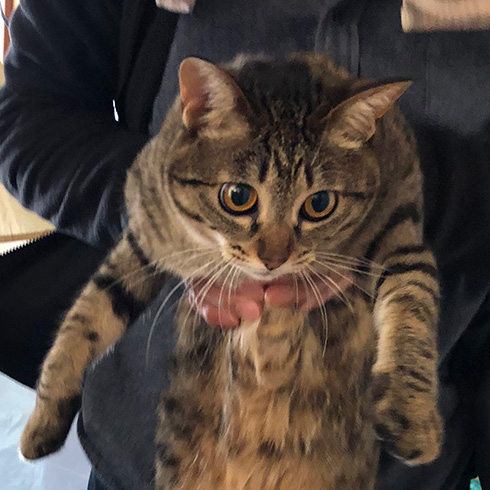 甘木サカヱさん