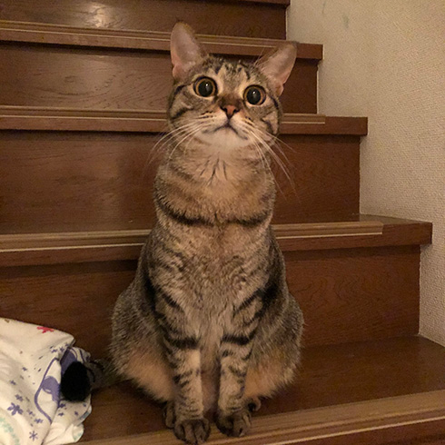 甘木サカヱさん