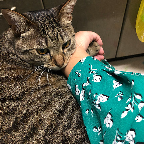 甘木サカヱさん