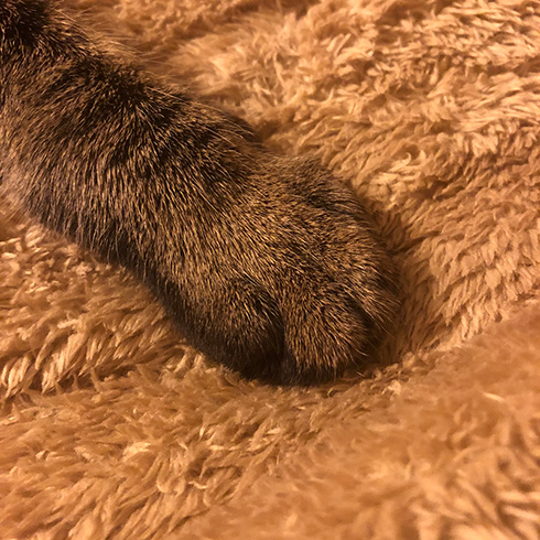 甘木サカヱさん