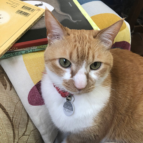 甘木サカヱさん