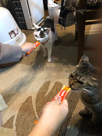 甘木サカヱさん