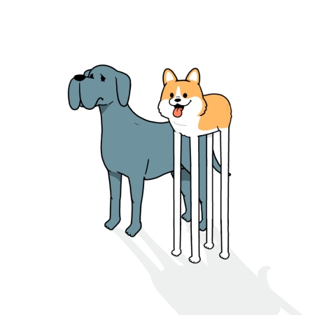 1いいねで1mm足が伸びるコーギー2