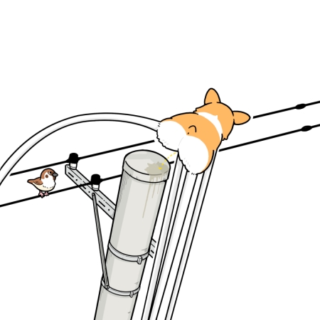 1いいねで1mm足が伸びるコーギー5