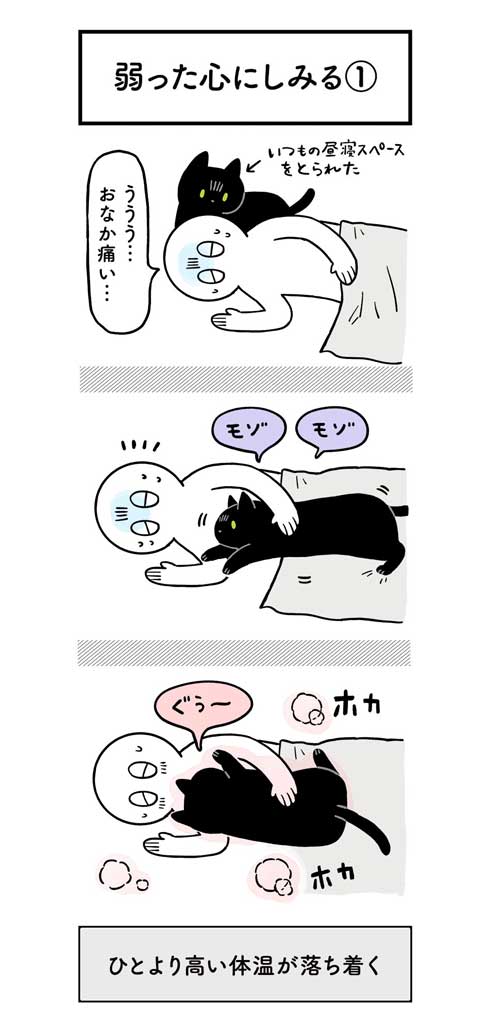 黒猫ろん 漫画 飼い主 体調 弱った心にしみる 黒猫ろんと暮らしたら