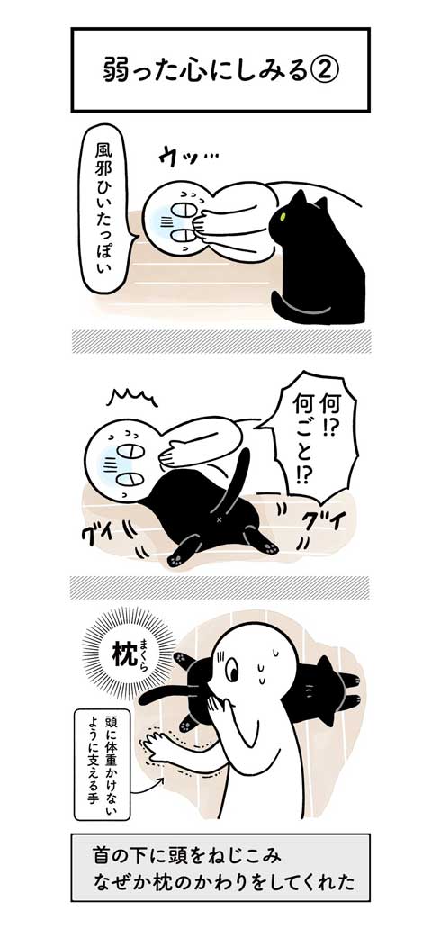 黒猫ろん 漫画 飼い主 体調 弱った心にしみる 黒猫ろんと暮らしたら