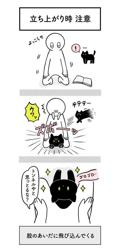 黒猫ろん 漫画 飼い主 体調 弱った心にしみる 黒猫ろんと暮らしたら