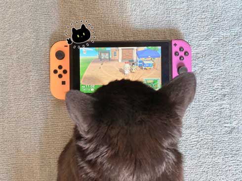 黒猫ろん 漫画 飼い主 体調 弱った心にしみる 黒猫ろんと暮らしたら