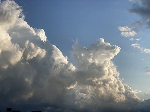 わんこにゃんこ雲