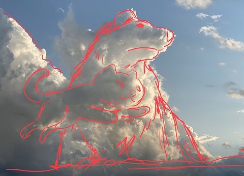 わんこにゃんこ雲