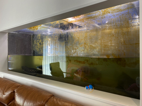 2400水槽をきれいに