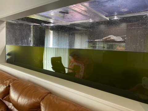 2400水槽をきれいに