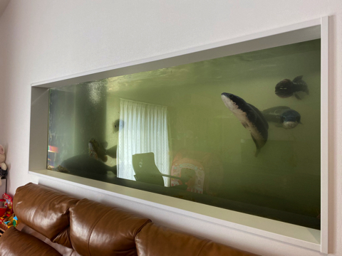 2400水槽をきれいに