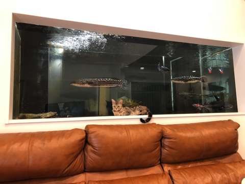 2400水槽をきれいに