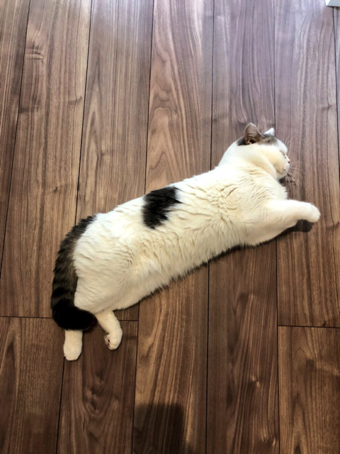 2400水槽をきれいに