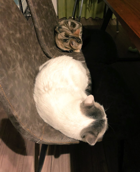 2400水槽をきれいに