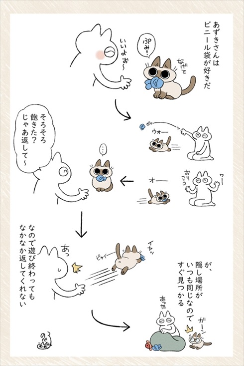 猫のあずきさん
