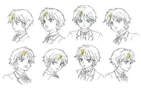 半妖の夜叉姫 犬夜叉 殺生丸 高橋留美子