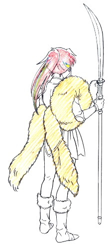 半妖の夜叉姫 犬夜叉 殺生丸 高橋留美子