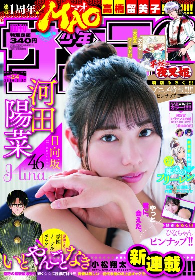 半妖の夜叉姫 犬夜叉 殺生丸 高橋留美子