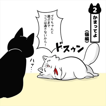 ストーカー猫ちゃん