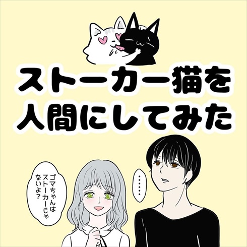 ストーカー猫ちゃん