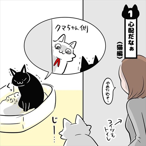 ストーカー猫ちゃん