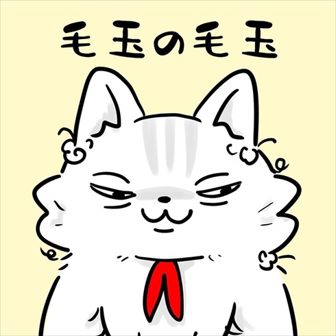 ストーカー猫ちゃん
