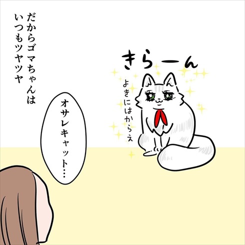 ストーカー猫ちゃん