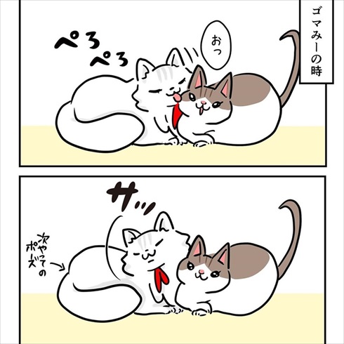 ストーカー猫ちゃん