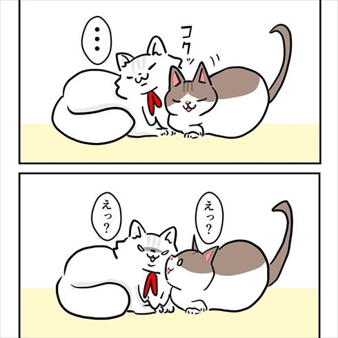 ストーカー猫ちゃん