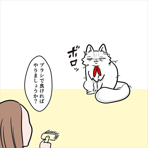 ストーカー猫ちゃん