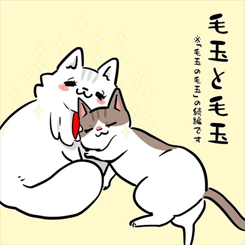 ストーカー猫ちゃん