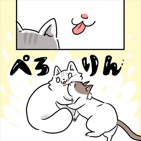 ストーカー猫ちゃん