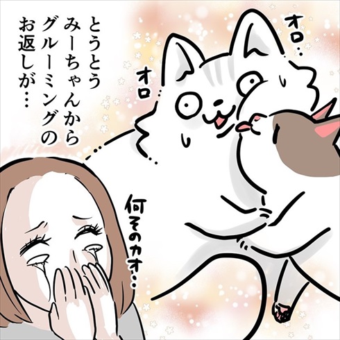 ストーカー猫ちゃん