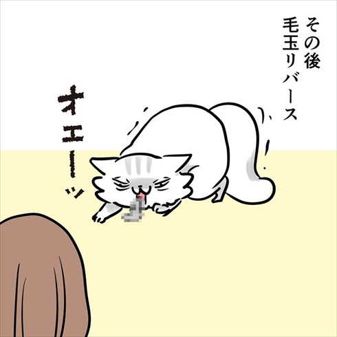 ストーカー猫ちゃん