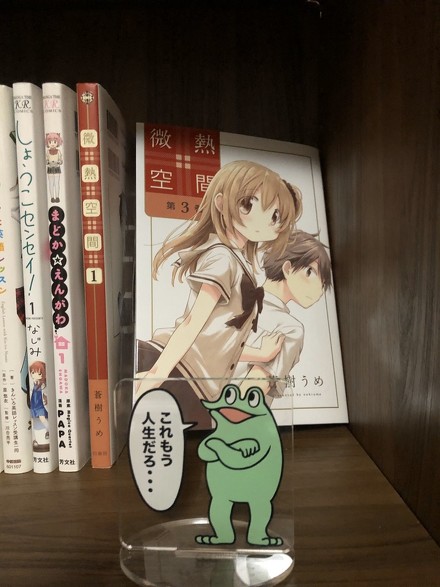 オタク部屋 カエルDX