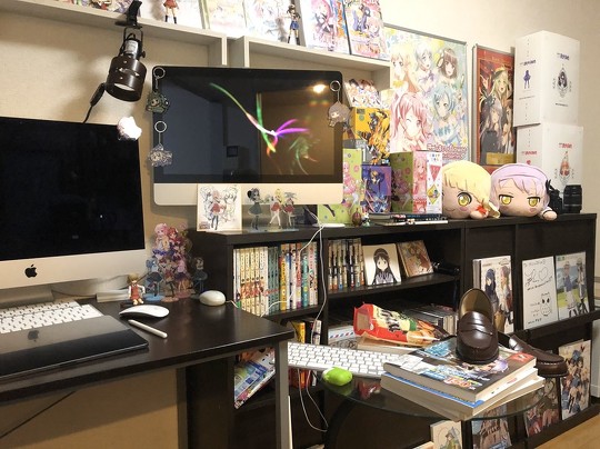 オタク部屋 カエルDX