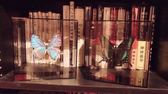 オタク部屋 にゃるら