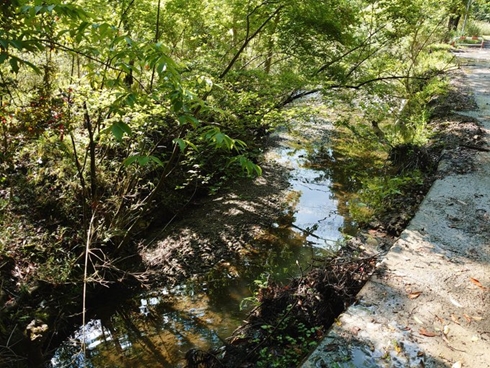 ファービー 森 神様 ジブリ