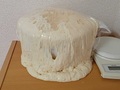 「生地はどうなったかな……うわあああ！！」　寝かせたパン生地がクリーチャーになってしまうまでの一部始終がこちらです