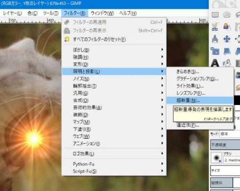 実家のネコ プラズマ火球