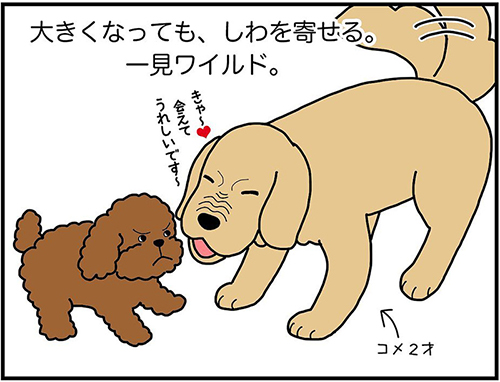 ワイルドマズル3