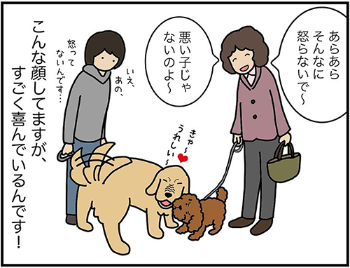 ワイルドマズル4