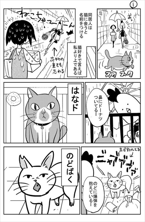 3本足の猫