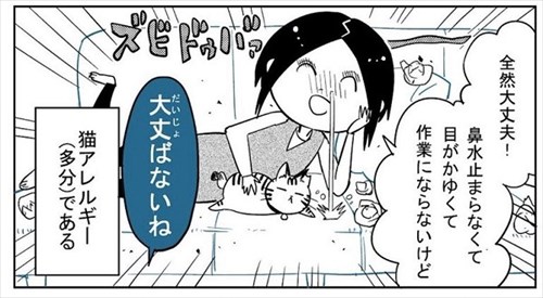 3本足の猫